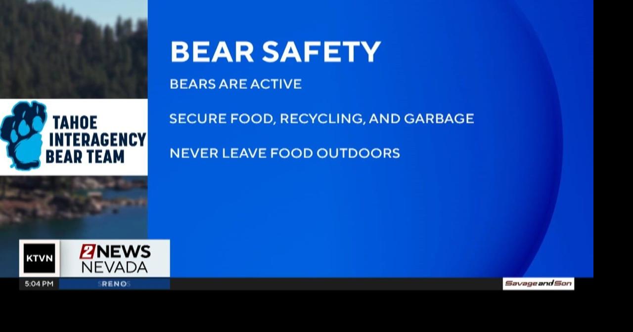 Black bears are waking up as snow melts across the region | California ...