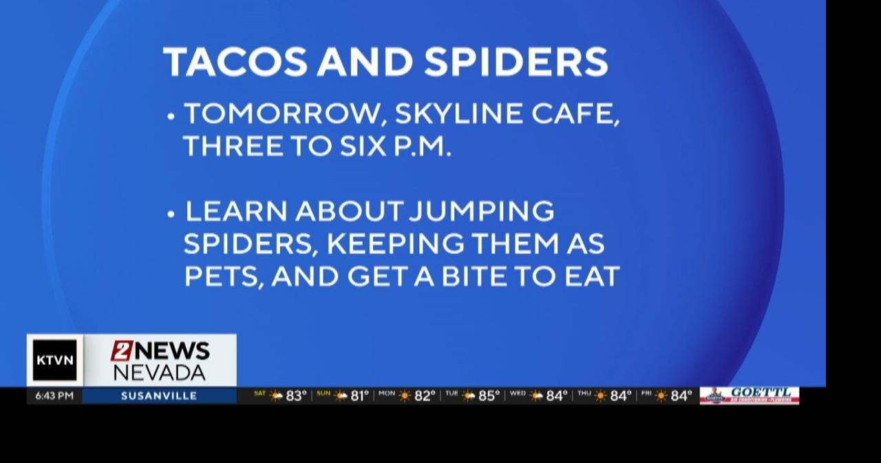 tacos-and-spiders-are-coming-together-for-a-community-party-local