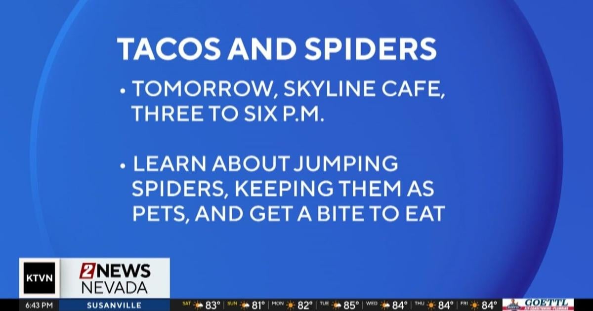 Tacos And Spiders Are Coming Together For A Community Party Local tacos-and-spiders-are-coming-together-for-a-community-party-local