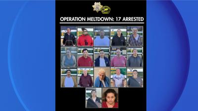 Operation Meltdown arrests