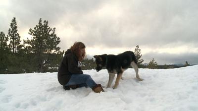 Truckee Dog Missing for Half a Year Reunites With Owners