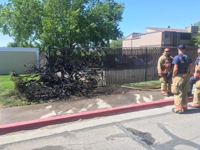 Crews Says Kids May Have Started Fire Near Tripp, Clear Acre in Reno