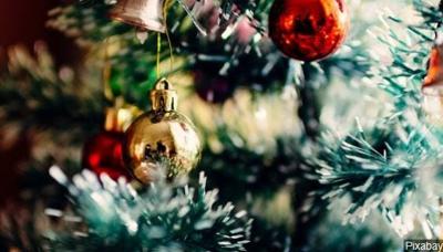 Christmas Tree Permits 2022 Ca At Quincy Blm, Forest Service To Sell Christmas Tree Permits | News | 2News.com