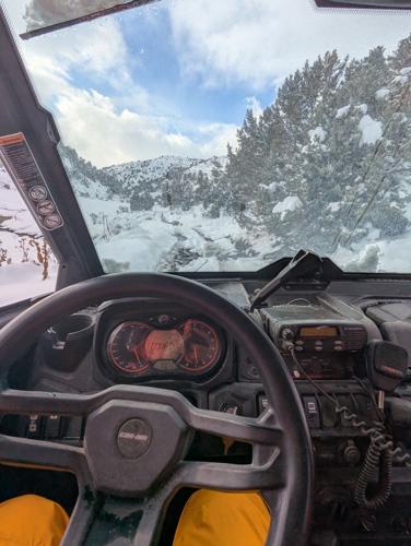 douglas sar snowshoe 2.jpg