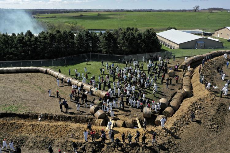 Animal Rights Protest Wisconsin