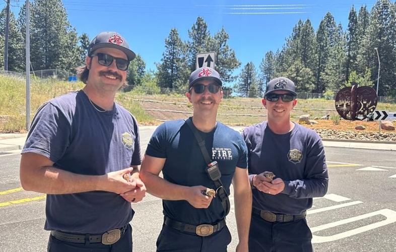 Firefighters hold baby turkeys