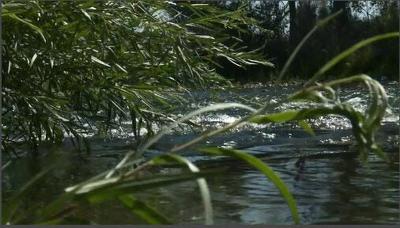 Warmer Climate, Slower Melting Snowpack