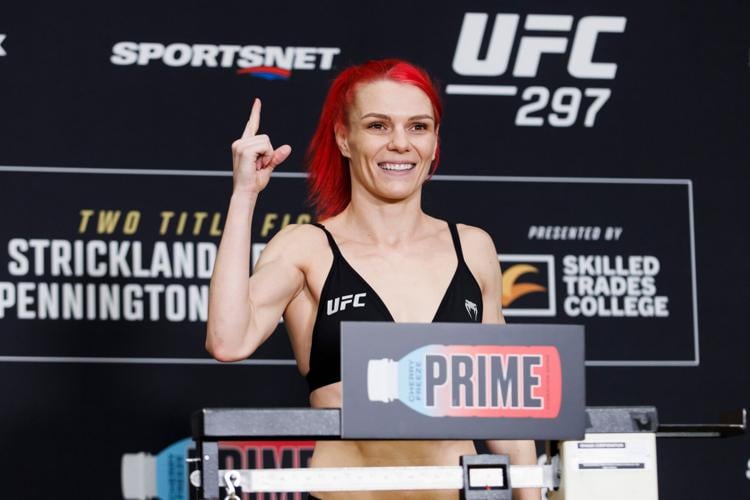 UFC 330 Preview