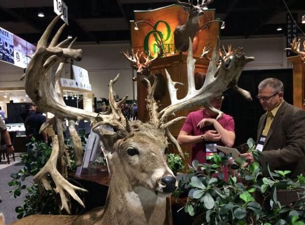 Safari Club International Convention Will Not Be in Reno 2021