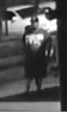 carson city vehicle burgalry .PNG