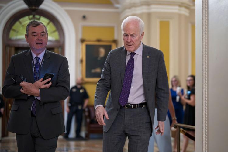 Senate Trump Republicans