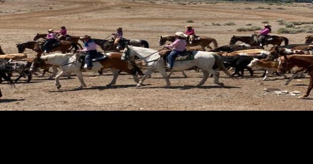 Annual Reno Rodeo Cattle Drive Rides Into Town | | 2news.com