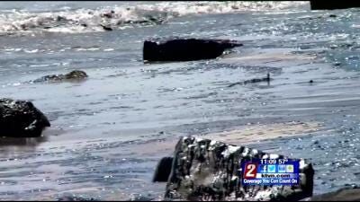 CA Oil Spill Update - One Sea Lion Dead