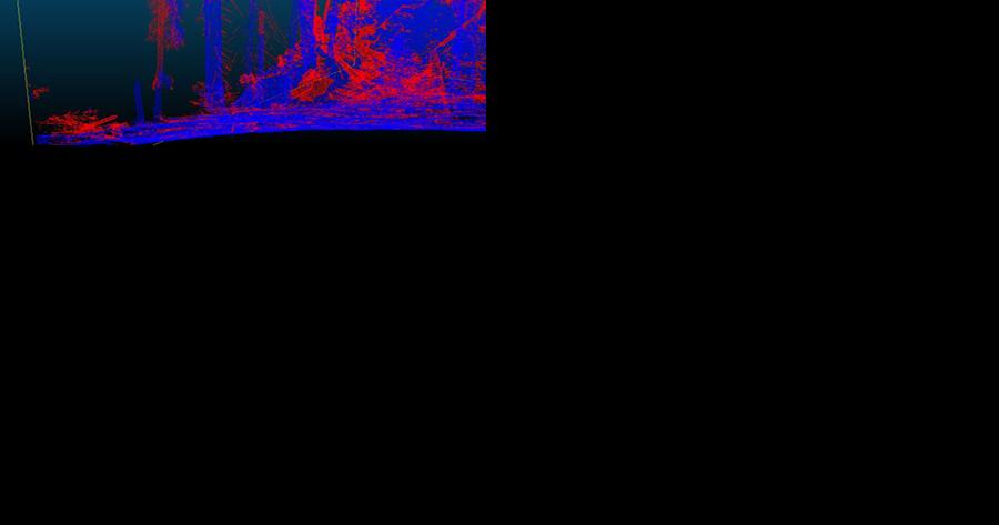 Big data modeling, forest fuels mapping aids in mitigating catastrophic wildfire risk - Vimarsana News