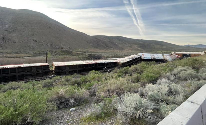 Cargo train derailment