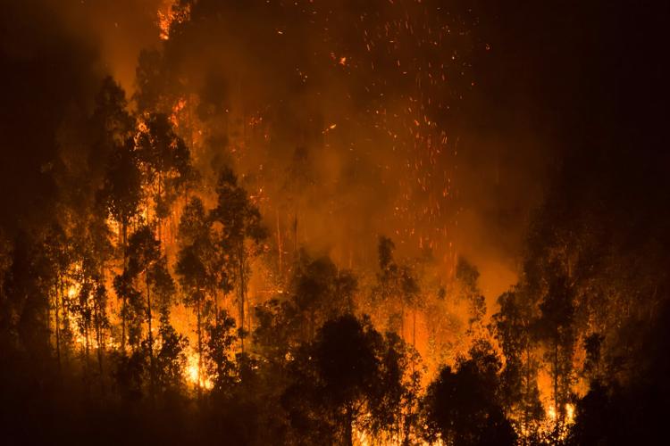 Climate Wildfire Weather
