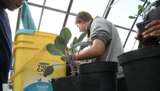 Greenhouse