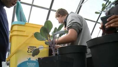 Greenhouse