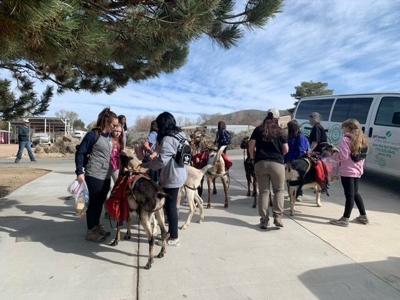Girl Scout Goat Expedition