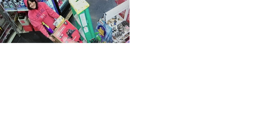 Officials in Placer County looking for help in theft | California News | 2news.com