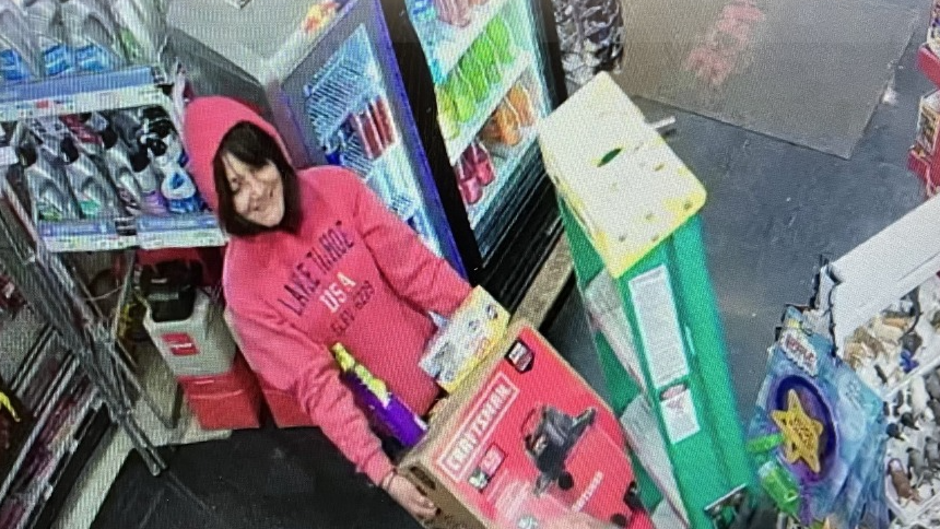 Theft Suspect in North Lake Tahoe