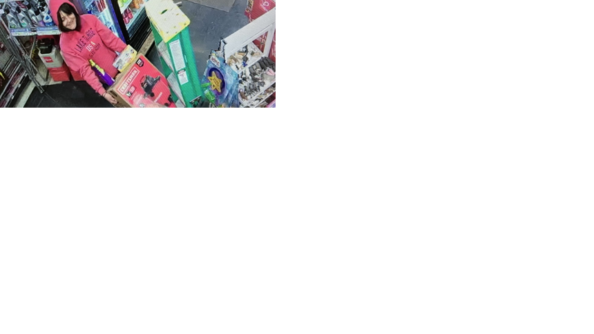 Theft Suspect in North Lake Tahoe