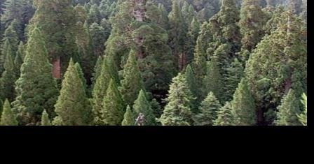 Trails and roads in Humboldt-Toiyabe National Forest still closed due to ice, mud and snow - Vimarsana News