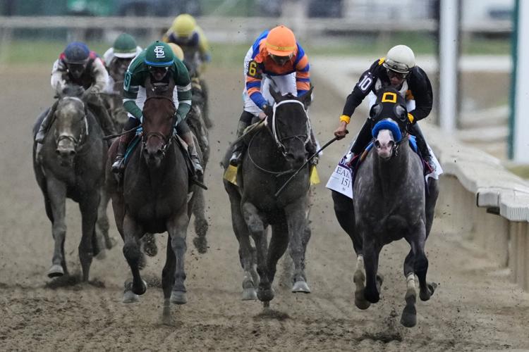 APTOPIX Preakness Horse Racing