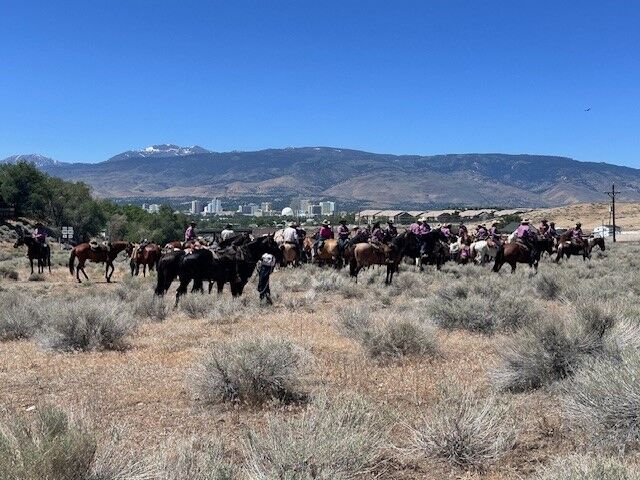 Reno Rodeo 2025 Cattle Drive - final trek to rodeo grounds 19