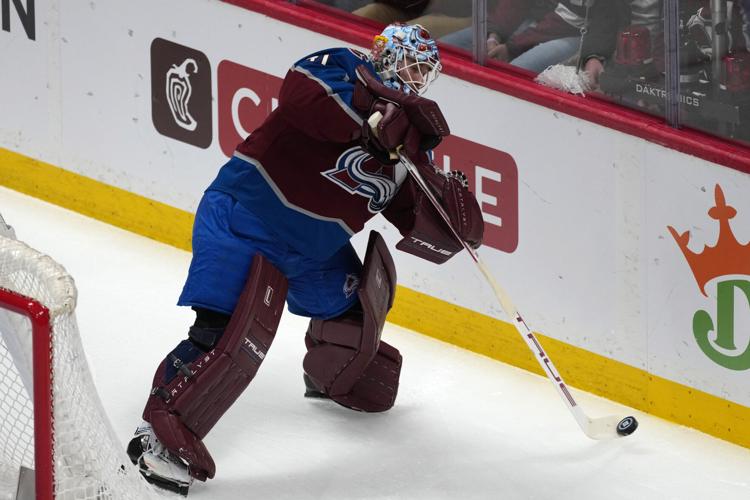 Wild Avalanche Hockey