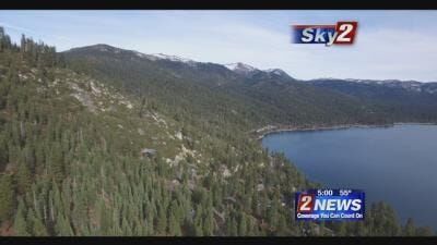 Tahoe Tree Mortality Increases in 2017