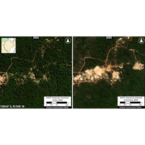 Brazil Amazon Illegal Mining