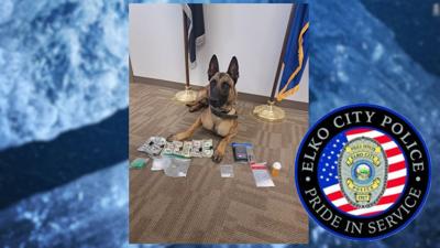 Elko Police Department K9 Balu assists in Drug arrest
