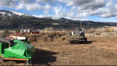 Green Waste Collection