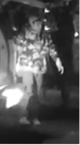 carson city vehicle burgalry 2.PNG