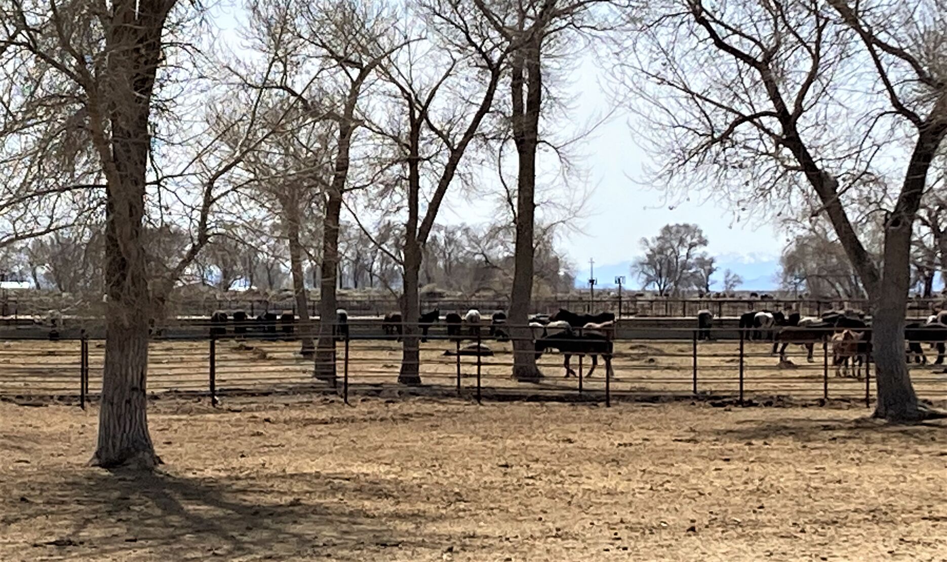 Holding pen at the Indian Lakes Off-range Corrals