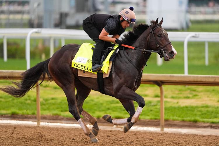 Kentucky Derby Horse Racing