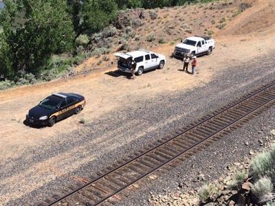 Driver Killed Before Train Collision