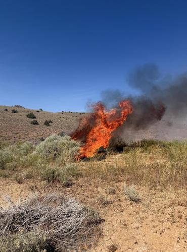 Sun Valley fire