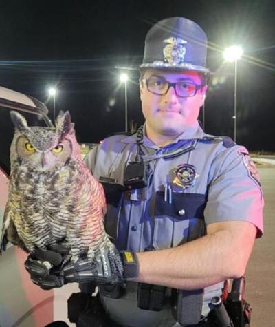 Trooper with owl