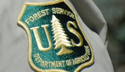Christmas Tree Permits Now Available