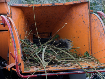 tree collection reno.PNG