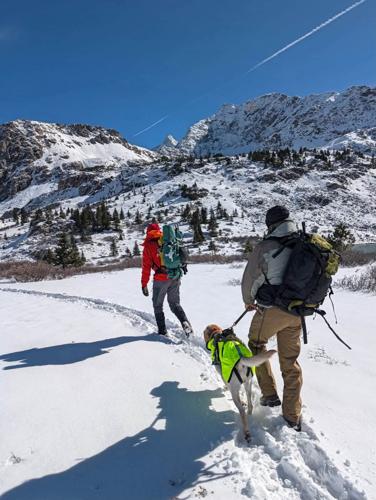 Missing College Hikers Colorado