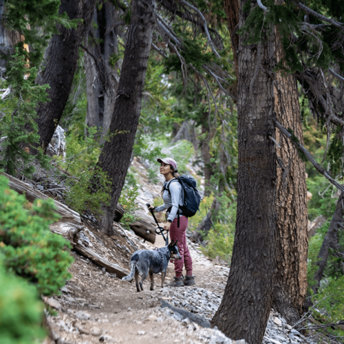 Hiking with NFF (2).png