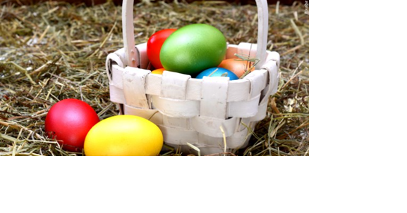 Washoe CASA Foundation, 35 organizations to host Easter egg hunt on April 9 - Vimarsana News