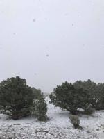 Freeze Warning and Snow in June