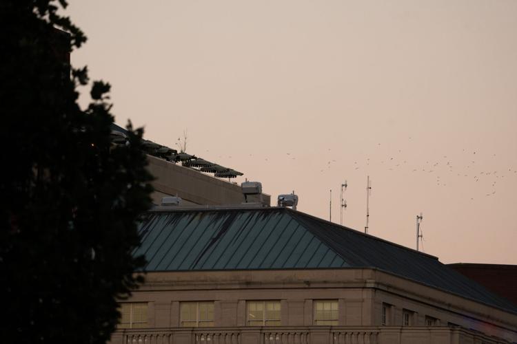 Trump Drone Port
