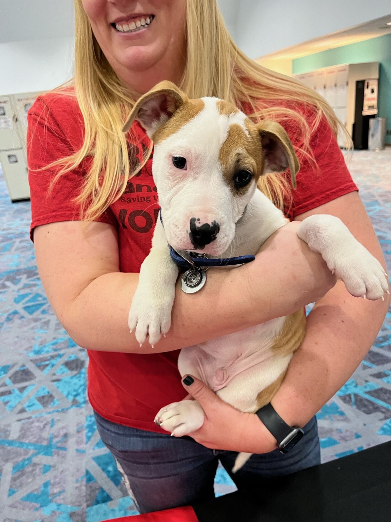 Boxers and hot sale buddies rescue