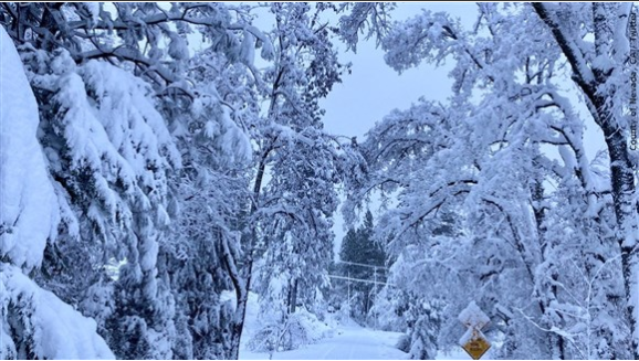 Snow MGN