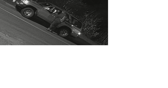 Carson City Sheriff's Office Seek Vehicle Burglary Suspect - Vimarsana News